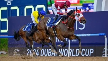 Conoce cuanto costó el potro japonés que va invicto en 5 actuaciones al Kentucky Derby