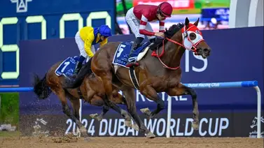 Conoce cuanto costó el potro japonés que va invicto en 5 actuaciones al Kentucky Derby Conoce cuanto costó el potro japonés que va invicto en 5 actuaciones al Kentucky Derby