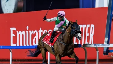 Hijo de Into Mischief sorprende en la Dubai World Cup este sábado