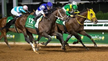 Conoce cuanto dinero ganó Junior Alvarado con su tercer lugar en la Dubai World Cup