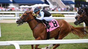 Exacta venezolana en el primer Stake del sábado en Gulfstream Park
