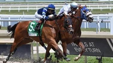 Antonio Sano gana su primer Grade Stakes del año Gulfstream Park