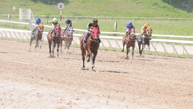 Estos son los retirados del hipódromo de La Rinconada 31-3-2024