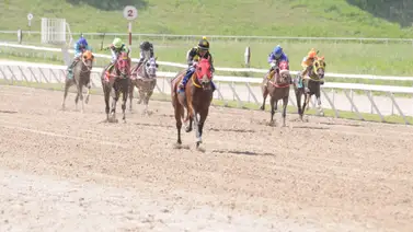 Estos son los retirados del hipódromo de La Rinconada 31-3-2024 Estos son los retirados del hipódromo de La Rinconada 31-3-2024