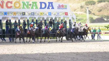 Asi pagaron los cuadros del 5y6 nacional en la reunión 12 en La Rinconada Asi pagaron los cuadros del 5y6 nacional en la reunión 12 en La Rinconada