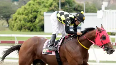 Gaceta Hípica acierta siete primeros favoritos este domingo en La Rinconada Gaceta Hípica acierta siete primeros favoritos este domingo en La Rinconada