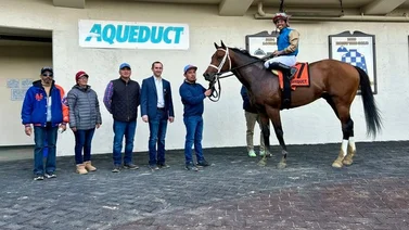 Nieto de Curlin sorprende en el Gothan Stakes G3 y mira al Kentucky Derby