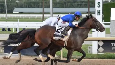 Junior Alvarado gana el Fountain of You G2 y montará en el Kentucky Derby Junior Alvarado gana el Fountain of You G2 y montará en el Kentucky Derby