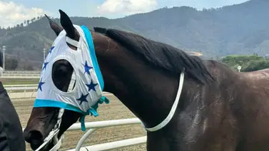 Entrenador que tenía más de dos años sin ganar en La Rinconada logra su primera victoria del 2025 Entrenador que tenía más de dos años sin ganar en La Rinconada logra su primera victoria del 2025