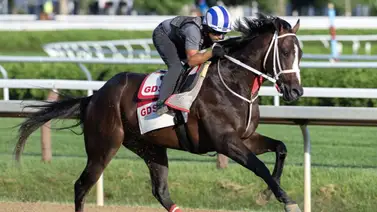 Potro de Gustavo Delgado que costó 1,3 millones queda fuera del Kentucky Derby Potro de Gustavo Delgado que costó 1,3 millones queda fuera del Kentucky Derby