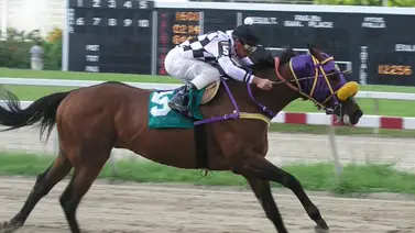 Fallece entrenador que ganó la triple corona en La Rinconada Fallece entrenador que ganó la triple corona en La Rinconada