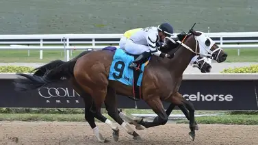 Emisael Jaramillo es el más valioso del domingo en Gulfstream Park Emisael Jaramillo es el más valioso del domingo en Gulfstream Park