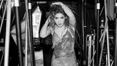 Shakira en Chile: Toman acciones legales contra la suspensión de sus shows Shakira en Chile: Toman acciones legales contra la suspensión de sus shows