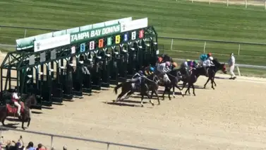 Jockeys venezolanos ganan 13 de las 18 carreras en Tampa Bay Downs el fin de semana Jockeys venezolanos ganan 13 de las 18 carreras en Tampa Bay Downs el fin de semana