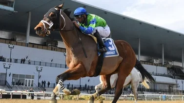Este jockey es galardonado por sus colegas con el Premio George Woolf Memorial 2025