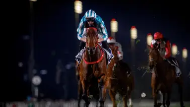 El mejor caballo del mundo podría tener revancha en la Copa del Mundo El mejor caballo del mundo podría tener revancha en la Copa del Mundo