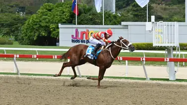 Snujake a mantener el invicto en el Clásico Mauricio Azar Grado III en La Rinconada Snujake a mantener el invicto en el Clásico Mauricio Azar Grado III en La Rinconada