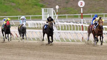 Seis yeguas se miden en el Clásico Ana María Freudman Grado III el domingo en la Rinconada Seis yeguas se miden en el Clásico Ana María Freudman Grado III el domingo en la Rinconada