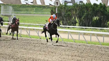 Reaparece nieto de Remarklable News luego de 189 días que en su última no pudo terminar la carrera Reaparece nieto de Remarklable News luego de 189 días que en su última no pudo terminar la carrera