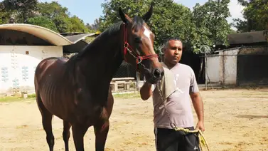 Le llegó el turno para debutar al hermano completo de la ganadora selectiva Turbinada en La Rinconada Le llegó el turno para debutar al hermano completo de la ganadora selectiva Turbinada en La Rinconada