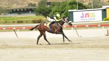 La Rinconada se prepara para el estreno del medio hermano de la Triplecoronada Sandovalera La Rinconada se prepara para el estreno del medio hermano de la Triplecoronada Sandovalera