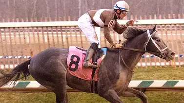 Post Time fue nombrado caballo del año en Maryland  Post Time fue nombrado caballo del año en Maryland