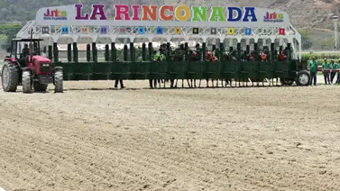 La historia familiar de Fleet Street: La Yegua norteamericana que debuta en La Rinconada La historia familiar de Fleet Street: La Yegua norteamericana que debuta en La Rinconada