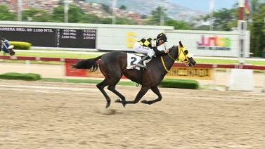 Yegua de las más cotizadas retorna a la pista luego de 98 días sin correr