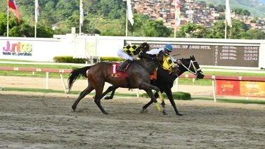 Caballo ganador y figurador selectivo retorna a la pista de La Rinconada luego de 140 días sin correr