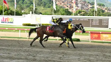 Caballo ganador y figurador selectivo retorna a la pista de La Rinconada luego de 140 días sin correr Caballo ganador y figurador selectivo retorna a la pista de La Rinconada luego de 140 días sin correr