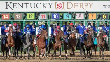Estos serían los 20 ejemplares que podrían estar en el Kentucky Derby Estos serían los 20 ejemplares que podrían estar en el Kentucky Derby