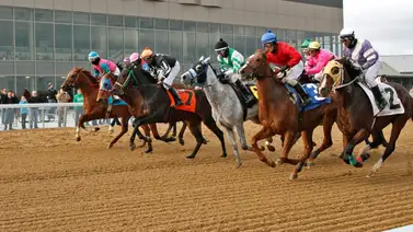 José Armando Bracho abrió la jornada de carreras del martes en Mahoning José Armando Bracho abrió la jornada de carreras del martes en Mahoning