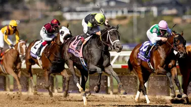 Ganadora del Premio Eclipse rompe récord en subastas digitales ser vendida por más de 2 millones de dólares Ganadora del Premio Eclipse rompe récord en subastas digitales ser vendida por más de 2 millones de dólares