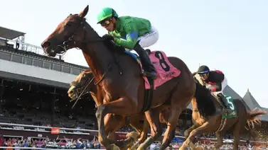 Regresa el ganador de grado Mo Plex este sábado en Nueva York Regresa el ganador de grado Mo Plex este sábado en Nueva York