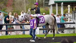 Samy Camacho inicia semana de remontada con un batacazo de $35,00 en Tampa Bay
