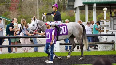 Samy Camacho inicia semana de remontada con un batacazo de $35,00 en Tampa Bay Samy Camacho inicia semana de remontada con un batacazo de $35,00 en Tampa Bay