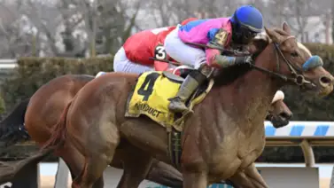 Bernieandtherose se juega la racha de triunfos este sábado en Nueva York Bernieandtherose se juega la racha de triunfos este sábado en Nueva York