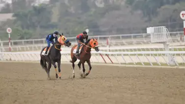 Así quedó el ajuste de la línea de Gaceta Hípica para la reunión número 8 en La Rinconada Así quedó el ajuste de la línea de Gaceta Hípica para la reunión número 8 en La Rinconada