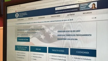 USCIS en linea