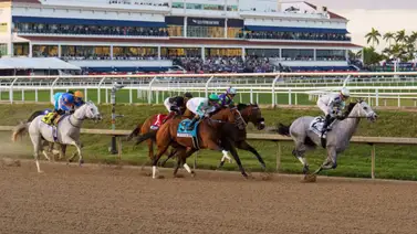 Jockey venezolano conquista su primera carrera en Gulfstream Park Jockey venezolano conquista su primera carrera en Gulfstream Park