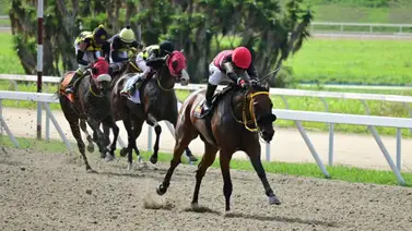 Gracias a este ajuste, esta yegua aspira a competir contra una de las favoritas del 5y6 en La Rinconada Gracias a este ajuste, esta yegua aspira a competir contra una de las favoritas del 5y6 en La Rinconada