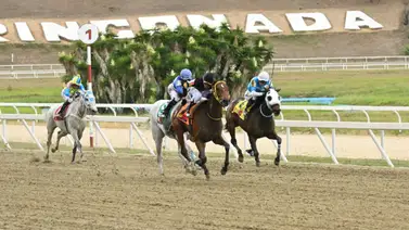 Esta yegua que ahora va liviana buscará repetir victoria el domingo en La Rinconada Esta yegua que ahora va liviana buscará repetir victoria el domingo en La Rinconada