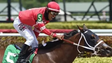 El jockey venezolano René Díaz sumó triplete en este hipódromo El jockey venezolano René Díaz sumó triplete en este hipódromo
