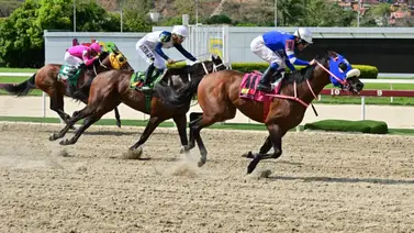 Conoce el ejemplar que estrena implemento y ajusta cómodo para sorprender en prueba pareja del 5y6 nacional Conoce el ejemplar que estrena implemento y ajusta cómodo para sorprender en prueba pareja del 5y6 nacional