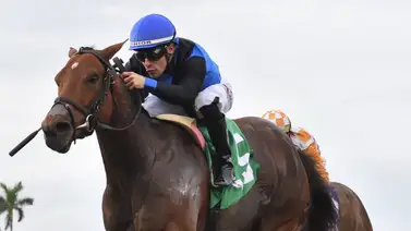 Junior Alvarado fue premiado como el mejor jinete de la semana Junior Alvarado fue premiado como el mejor jinete de la semana