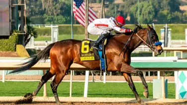 Hija de Nyquist que costó $900.000 se juega el invicto este sábado en un Grado 1 Hija de Nyquist que costó $900.000 se juega el invicto este sábado en un Grado 1