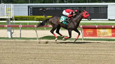 Abu Pepe en plena carrera en La Rinconada. Abu Pepe en plena carrera en La Rinconada.