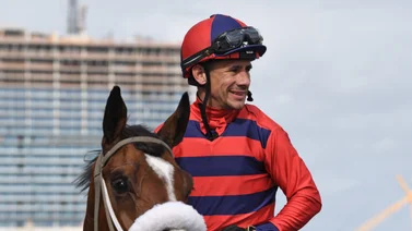 Junior Alvarado triunfa de manera espectacular en Gulfstream Park
