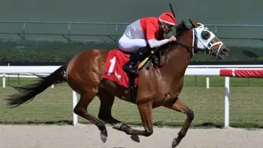 Leonel Reyes Ramos suma otra victoria más en Gulfstream Park Leonel Reyes Ramos suma otra victoria más en Gulfstream Park