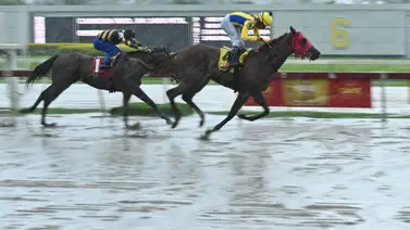 Como ajustó este potro puede buscar sorprender con triunfo el Clásico Mauricio Azar (G3) Como ajustó este potro puede buscar sorprender con triunfo el Clásico Mauricio Azar (G3)